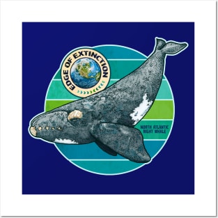 EDGE OF EXTINCTION North Atlantic Right Whale Posters and Art